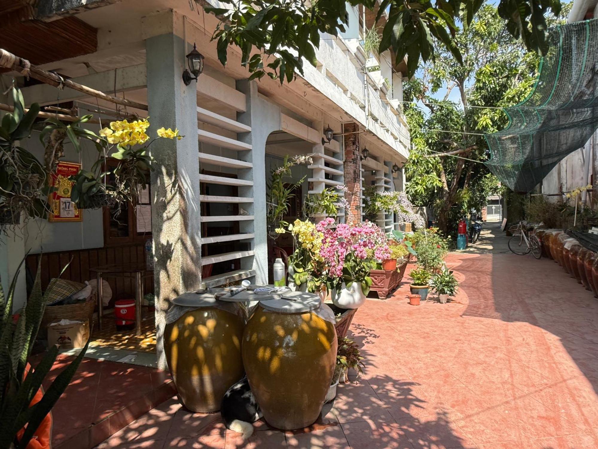 Island Tien Giang Homestay My Tho